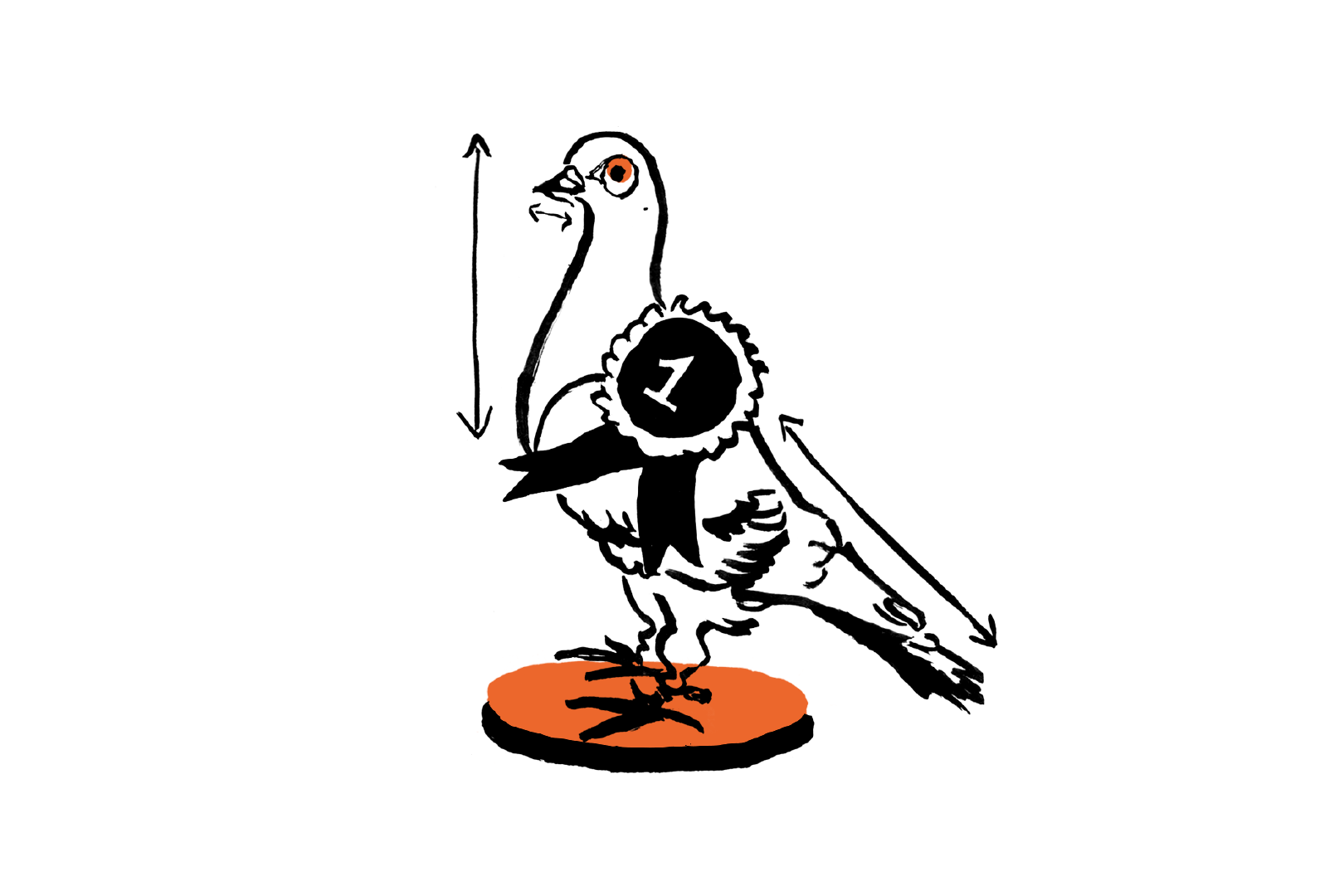 the-enfield-blazers-the-fence